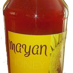 mayan-honey-1kg